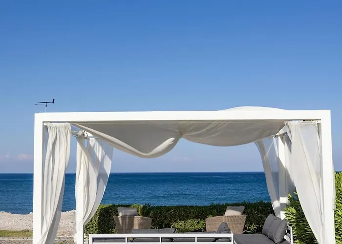 Charisma Front * 콜림비아