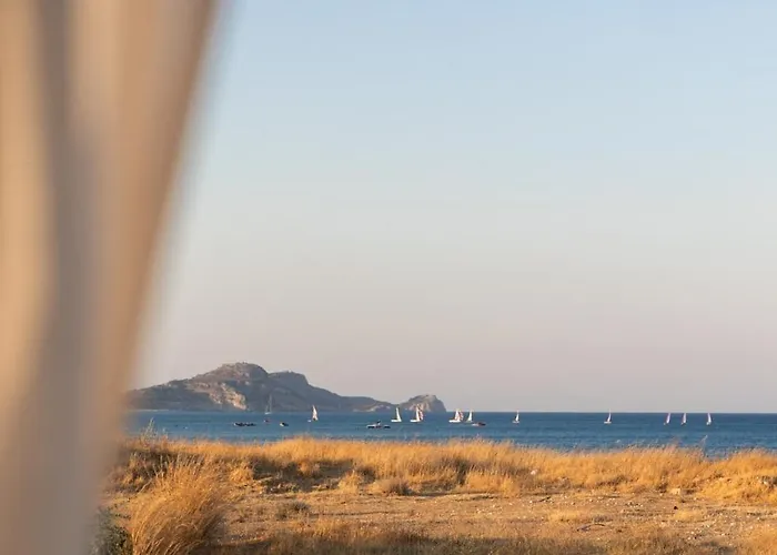 Charisma Front * Kolymbia